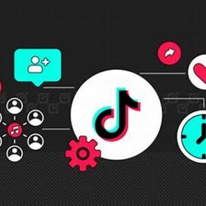 Tiktok Algorithm Demystified By Experts