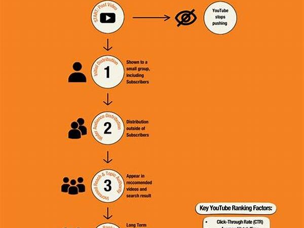Youtube Algorithm Explained By Experts